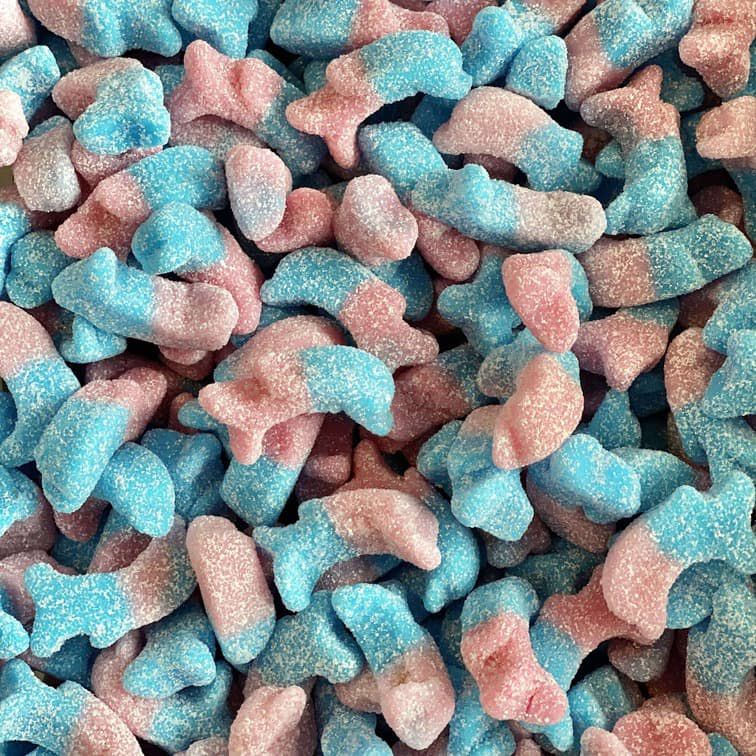 Dauphin bubblegum acidulés (100g)