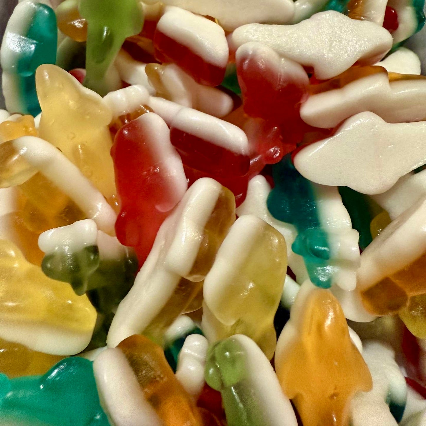 Dauphin lisse (100g)